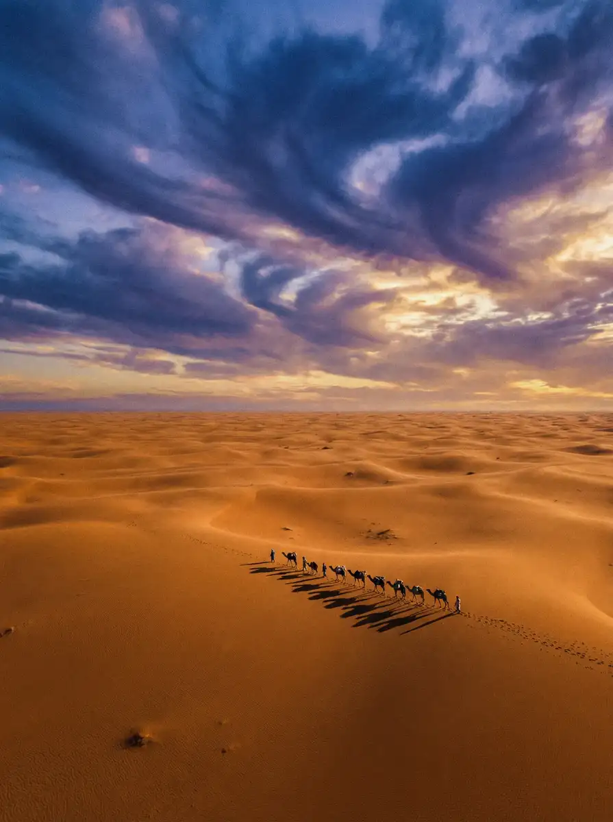 纪录片《丝路回响》 - 婉儿别闹 项目